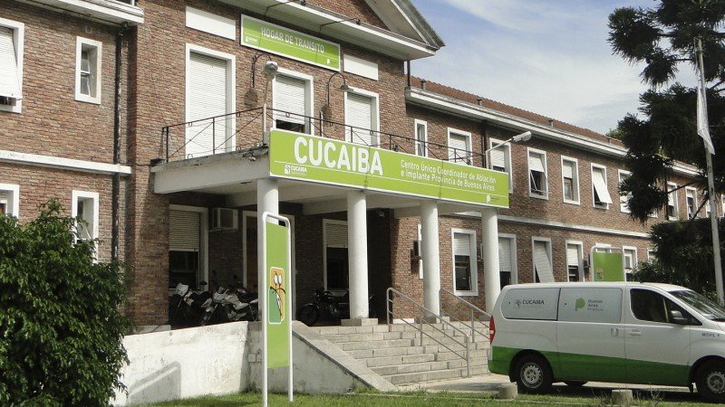 cucaiba-01-1-800x316