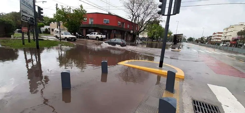 Metrobus Varela 5