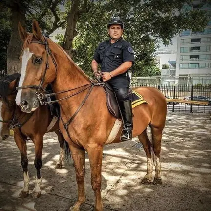 Telam, Buenos Aires, 28 de septiembre de 2020: Un inspector de la Polic&iacute;a Federal Argentina (PFA) fue asesinado de cuatro pu&ntilde;aladas en el barrio porte&ntilde;o de Palermo por un hombre aparentemente en situaci&oacute;n de calle que termin&oacute; baleado y detenido, y que se investiga si tiene sus facultades mentales alteradas y si al momento del hecho estaba amenazando a transe&uacute;ntes, informaron fuentes policiales y m&eacute;dicas.
Foto: Prensa/aa/Telam