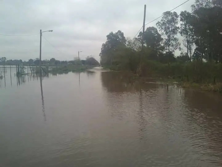 temporal varela
