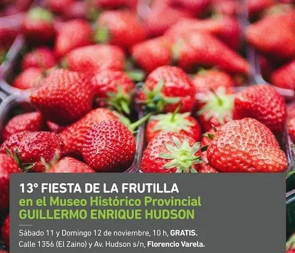 13 Fiesta de la frutilla