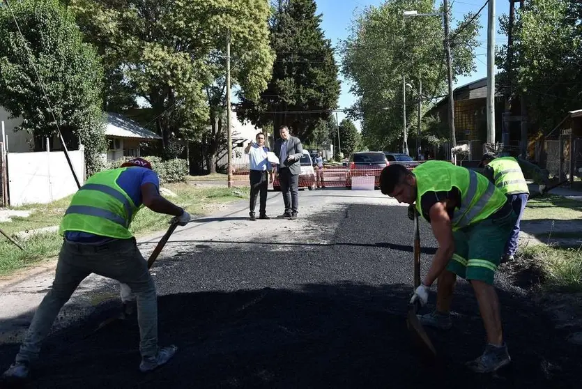 watson obras zeballos