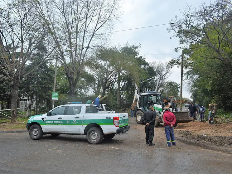 poda arbolado florencio varela