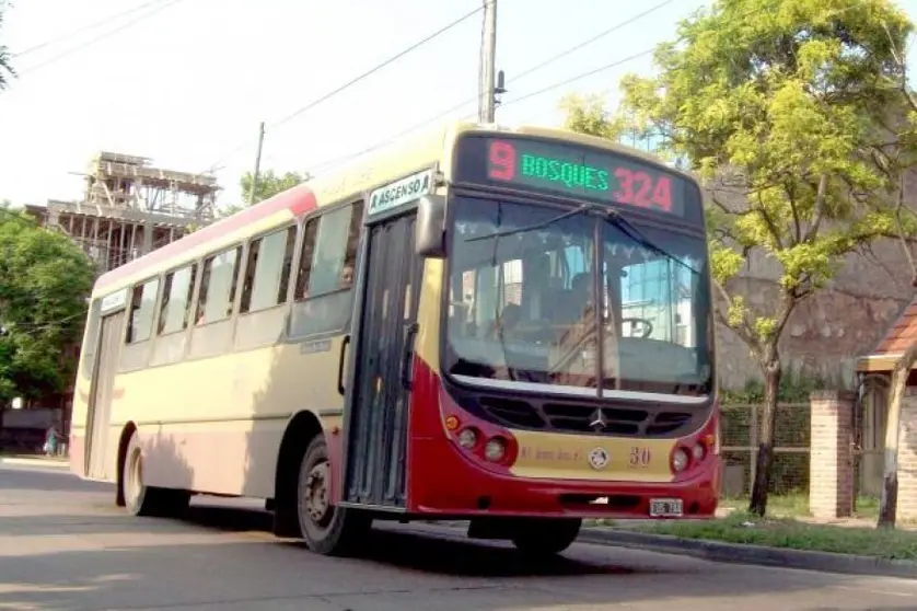 linea 324