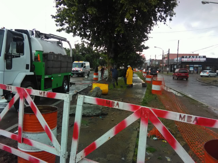 TAREAS LIMPIEZA SAN MARTIN