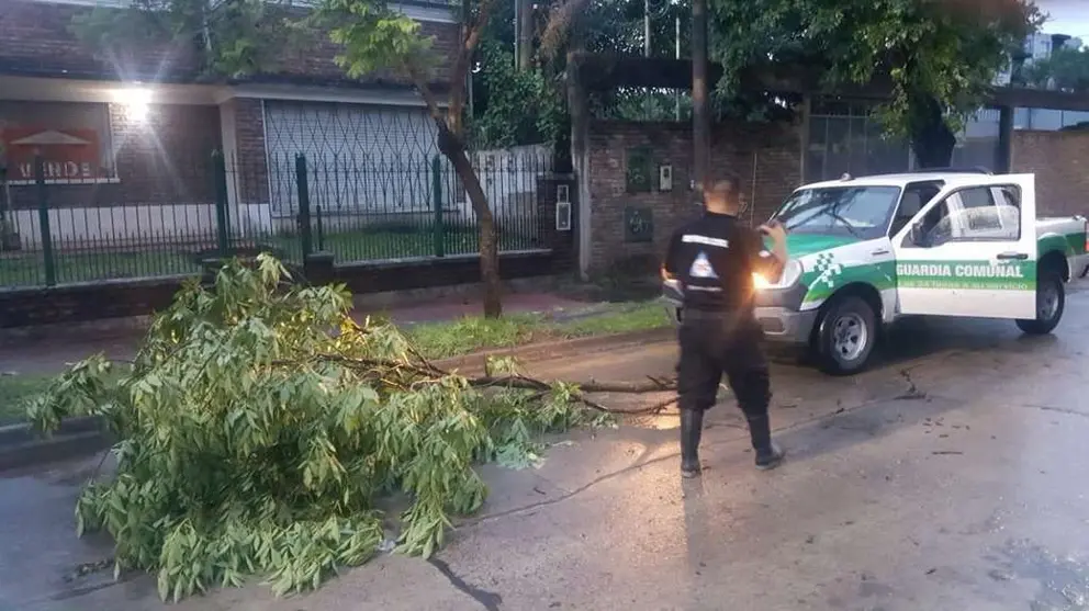 #4medios varela temporal