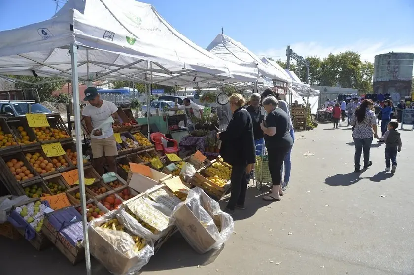 IMG-20190420-WA0011 (1)