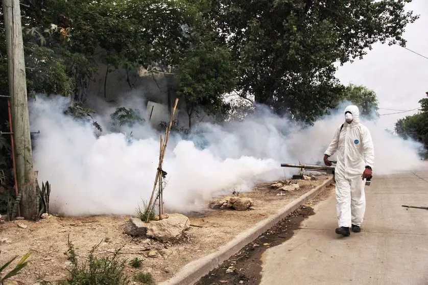 dengue quilmes fumigar bernal 