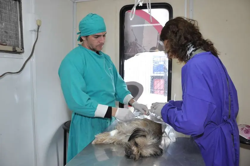 veterinarios barrios florencio varela