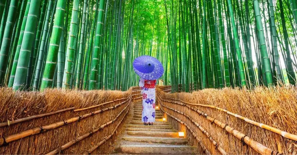 embajada de japon 2