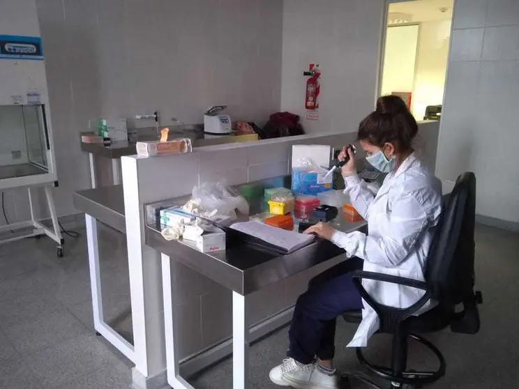 HOSPITAL_EL_CRUCE_2.jpeg