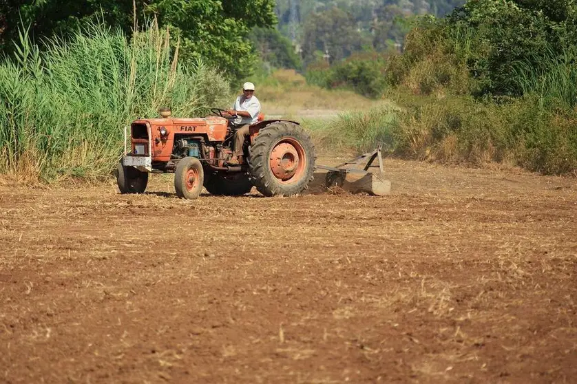 mesa agraria varela