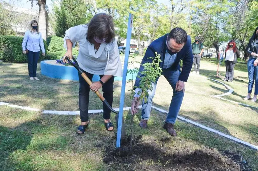 hcd varela watson memoria