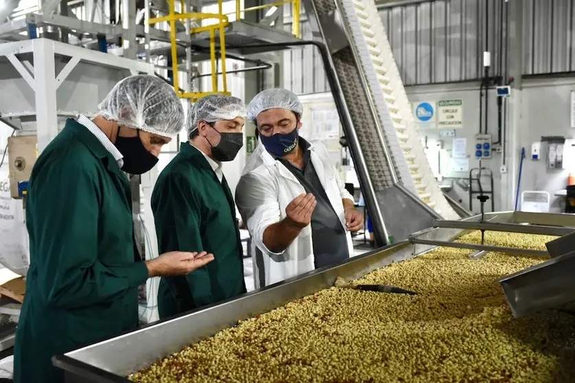 watson planta varela industria y producción local