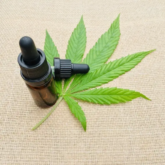 cannabis-5748860_960_720