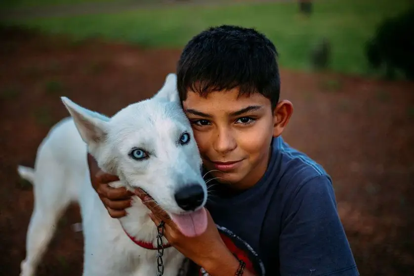 boy-4841402_1280
