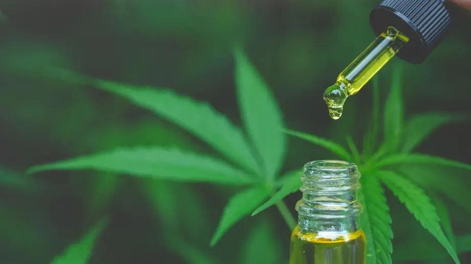 cannabis-medicinal (1)