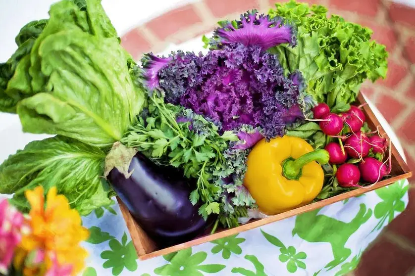 vegetables-g6ac0fca2a_1920