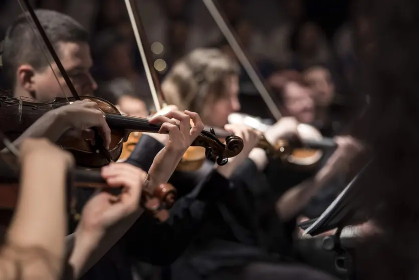 violins-gd82b906ba_1920