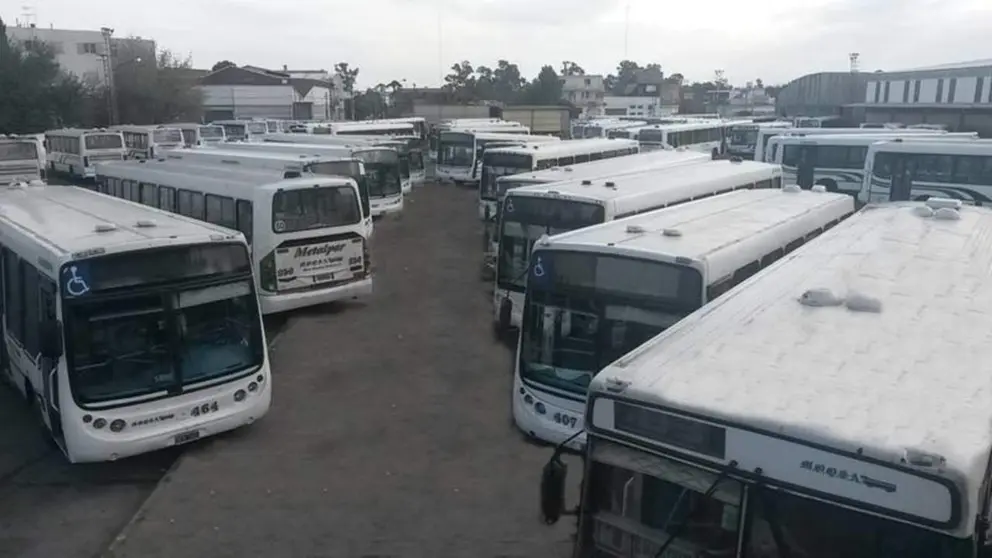colectivos_blanquito_159