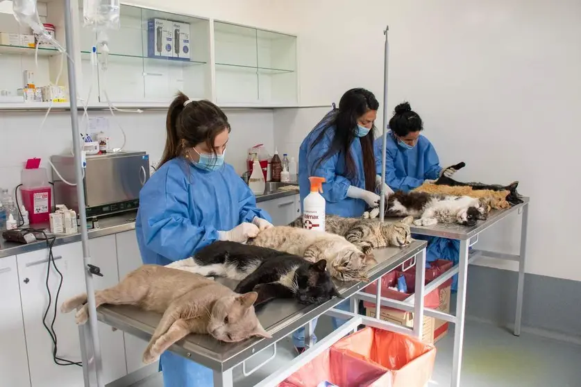 centro_veterinario_varela