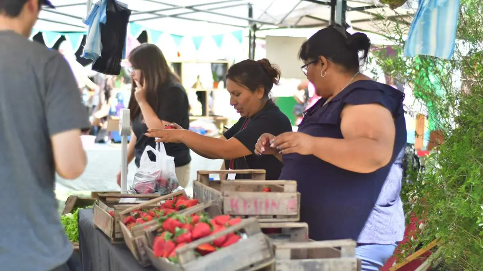 fiesta de la frutilla florencio varela