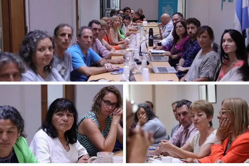 docentes 