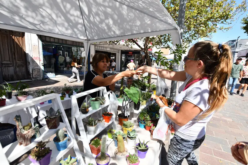 jornada floricola