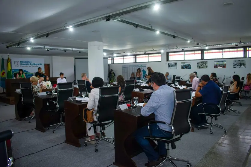 concejo deliberante varela