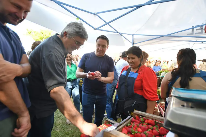 fiesta de la frutilla watson