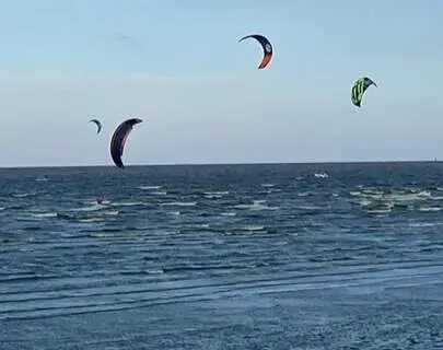 cinobacterias en quilmes