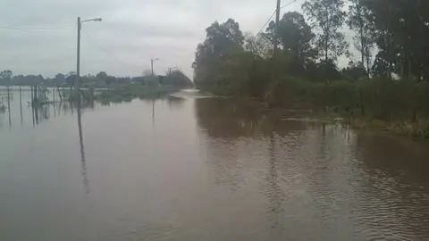 temporal varela