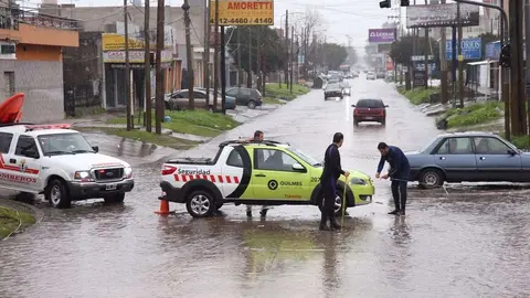 Temporal (8)