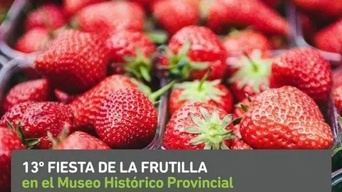 13 Fiesta de la frutilla