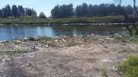 tosquera 1