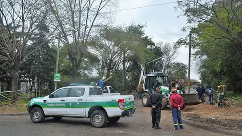 poda arbolado florencio varela