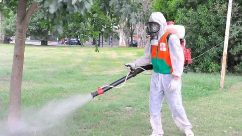 #4MediosFumigaci&oacute;nEnsenada