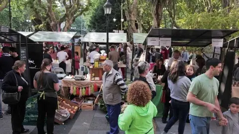 ALIMENTA (01) (1)