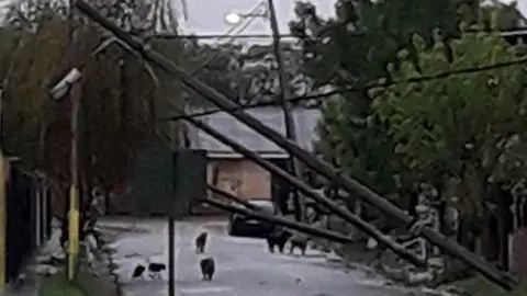 201910131327022686