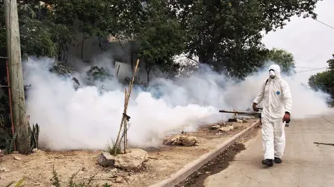 dengue quilmes fumigar bernal 