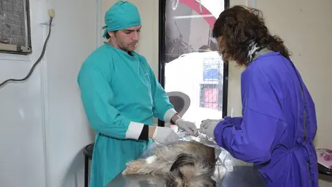 veterinarios barrios florencio varela