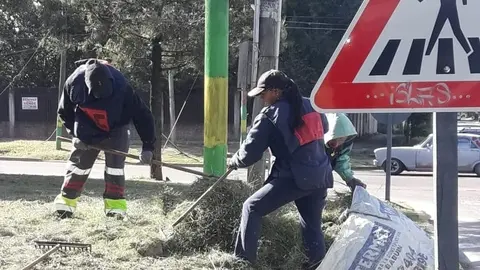 1. Desmalezamiento y limpieza - Av. Thevenet (4)
