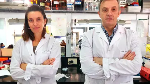 covid-testeo rapido