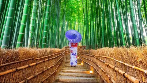 embajada de japon 2