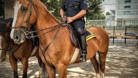 Telam, Buenos Aires, 28 de septiembre de 2020: Un inspector de la Polic&iacute;a Federal Argentina (PFA) fue asesinado de cuatro pu&ntilde;aladas en el barrio porte&ntilde;o de Palermo por un hombre aparentemente en situaci&oacute;n de calle que termin&oacute; baleado y detenido, y que se investiga si tiene sus facultades mentales alteradas y si al momento del hecho estaba amenazando a transe&uacute;ntes, informaron fuentes policiales y m&eacute;dicas.
Foto: Prensa/aa/Telam