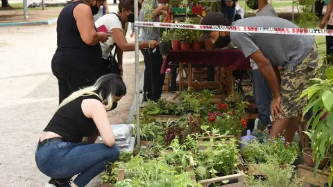 feria floricula varela febrero 2021