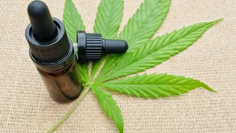 cannabis-5748860_1920