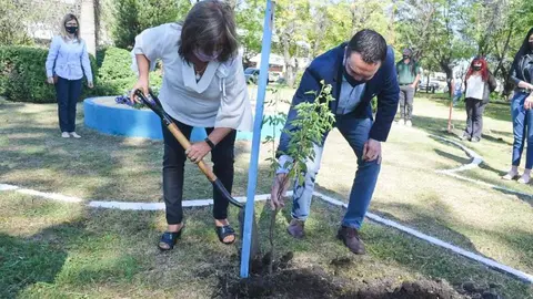 hcd varela watson memoria