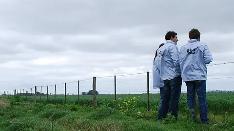 ARBA_campo