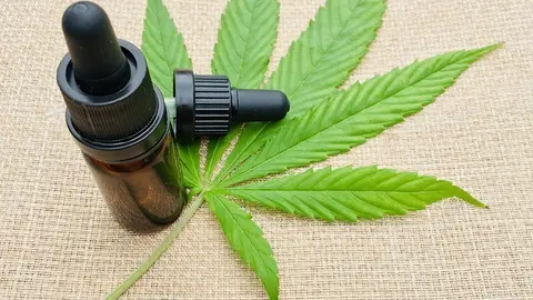 cannabis-5748860_960_720